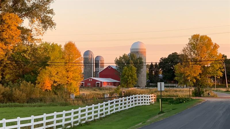 Schutte Farm